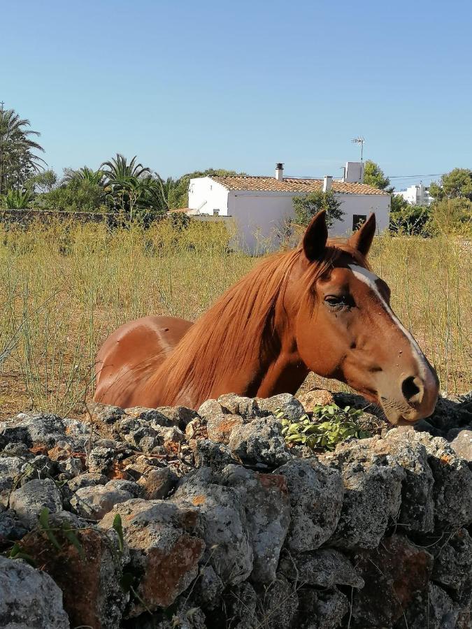 Apto. S'Aigua Dolca 2 Son Carrio  Exterior foto